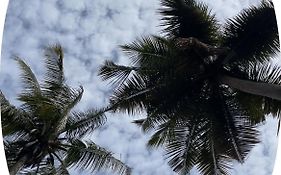 Coorg Mists Homestay